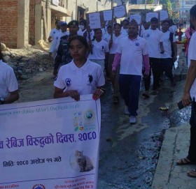 आज विश्व रेबिजविरुद्धको दिवस बाजुरामा पनि बिबिध कार्यक्रम गरी मनाइयाे