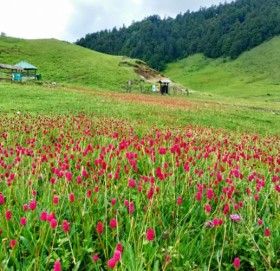 खप्तड भ्रमणमा आउने पर्यटकको संख्या वर्षेनि घट्दै, कहाँ जान्छ राज्यको लगानी?