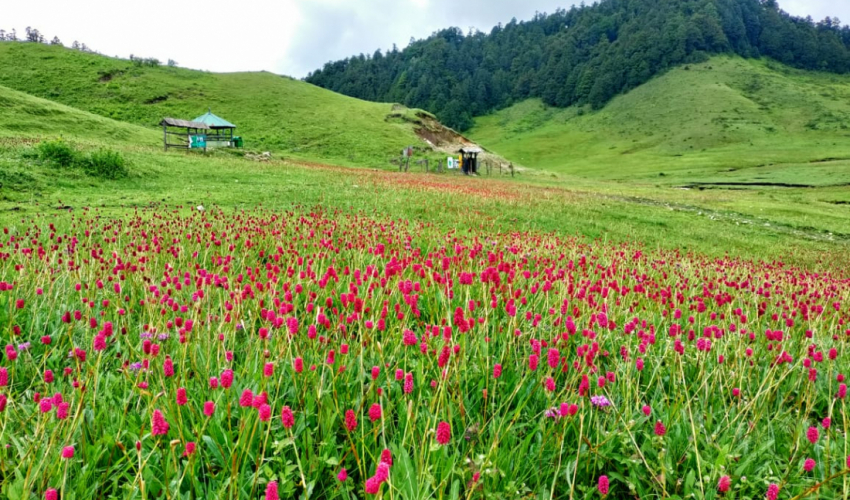 खप्तड भ्रमणमा आउने पर्यटकको संख्या वर्षेनि घट्दै, कहाँ जान्छ राज्यको लगानी?
