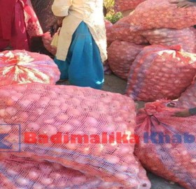 स्वामिकार्तिक गाउँपालिकामा ५ सय कुइन्टल प्याज उत्पादन, बजारीकरणमा समस्या