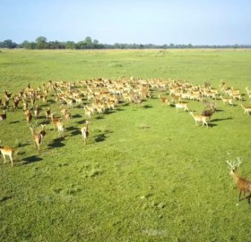 दशैंको अवधिमा ४१४ पर्यटकले गरे शुक्लाफाँटा भ्रमण