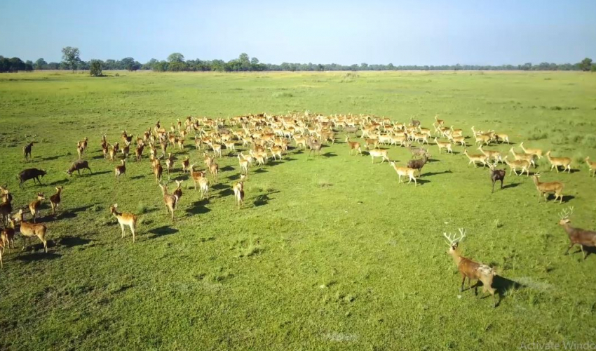 दशैंको अवधिमा ४१४ पर्यटकले गरे शुक्लाफाँटा भ्रमण