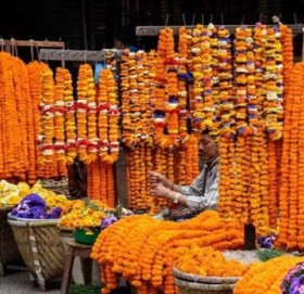 काठमाडौं महानगरको व्यवस्थापनमा चार ठाउँमा सहुलियत फूल विक्री कक्ष सञ्चालन