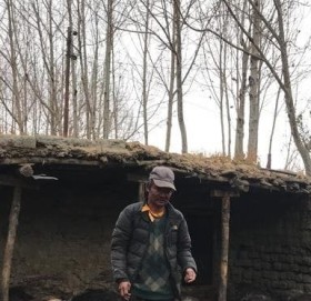 मुस्ताङमा हिउँचितुवाको आक्रमणले गोठै रित्तियो,  ७७ च्याङ्ग्रा मरे