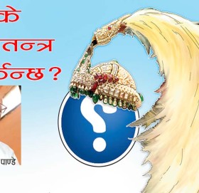 के राजतन्त्र फर्किन्छ?