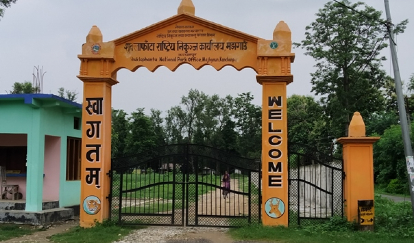 शुक्लाफाँटा राष्ट्रिय निकुञ्जमा दुई हात्ती थपिँने