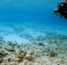 जब पानीमुनि भेटिएको ३७५ वर्ष पुरानो ‘सहर’को रहस्य खुल्यो…