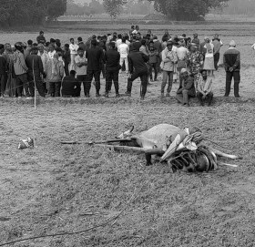 बिजुलीको तार चुँडिएर खस्दा खेत जोतिरहेका किसानको मृत्यु