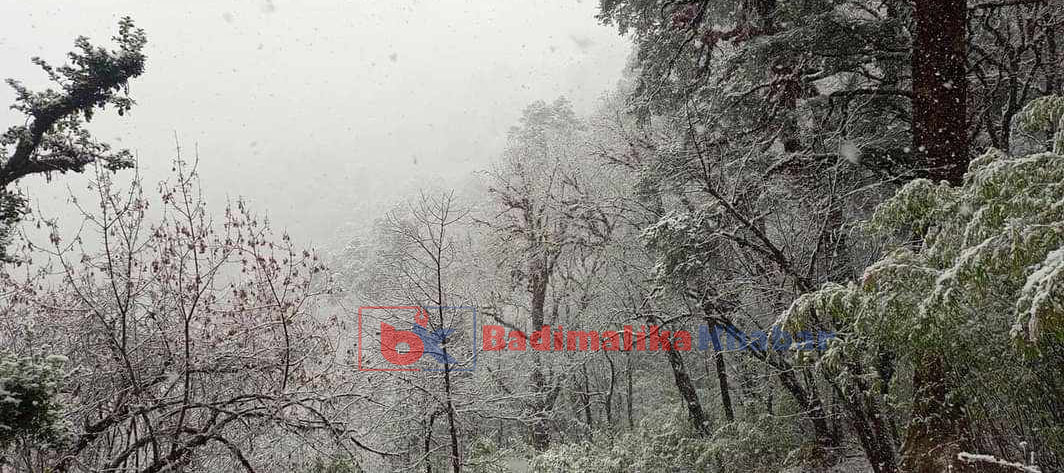 बाजुरासहित सुदूरपश्चिम र कर्णालीका उच्च पहाडी भेगमा वर्षासँगै हिमपात 