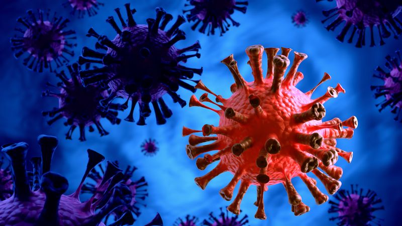 सुदुरपश्चिममा तीन दिनमा ९ जनामा कोरोना संक्रमण