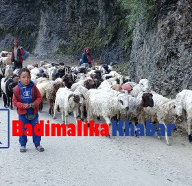 भोटे जनजातिका बालवालिकाको पढाई ६ महिना मात्र