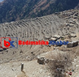 बाजुराको ८० प्रतिशत जमिन आकाशे पानीको भरमा खेति, पानी नपर्दा किसान चिन्तित