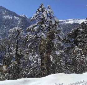 घाम लागेपछि उज्यालिएका बाजुराका हिमाल (फोटो फिचर)