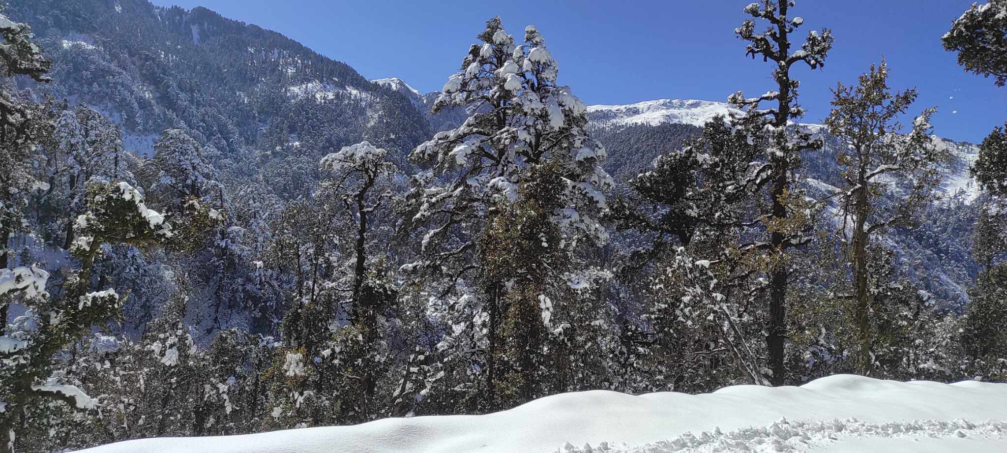 बाजुराका उच्च हिमाली भेगमा वर्षासँगै हिमपात