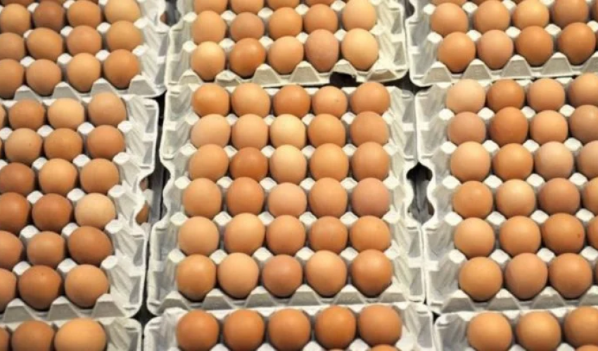 सुदूरपश्चिममा ७ करोड गोटा अण्डा उत्पादन, बाजुरामा सबैभन्दा कम