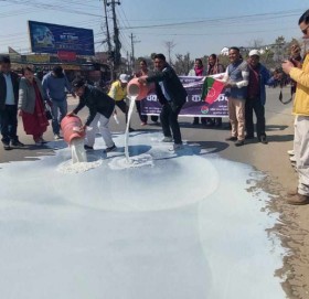 सुदूरपश्चिमका किसानले सडकमा पोखे दुध, पाँच करोडको भुक्तानी पाएनन