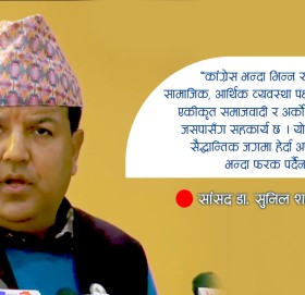 यी हुन् पार्टीदेखि सरकार सुधार्न कांग्रेस सांसद सुनिल शर्माले राखेका प्रस्ताव