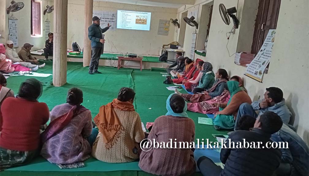 प्रारम्भिक तहका शिक्षकहरुलाई ३ दिने क्षमता अभिबृद्धि तालिम सम्पन्न