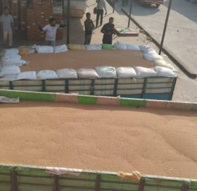 कञ्चनपुर प्रहरीले दुई थान ट्याक्टरहित समात्यो झण्डै १६ लाखको अबैध सामान