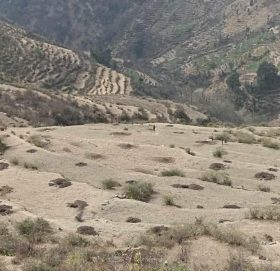 बाजुराका ३६ बगैंचामा ३३ हजार बिरूवा रोपिए