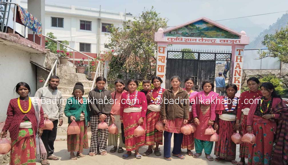 कृषि ज्ञान केन्द्र बाजुराद्धारा उन्नत जातको धान र मकैको बिउ वितरण