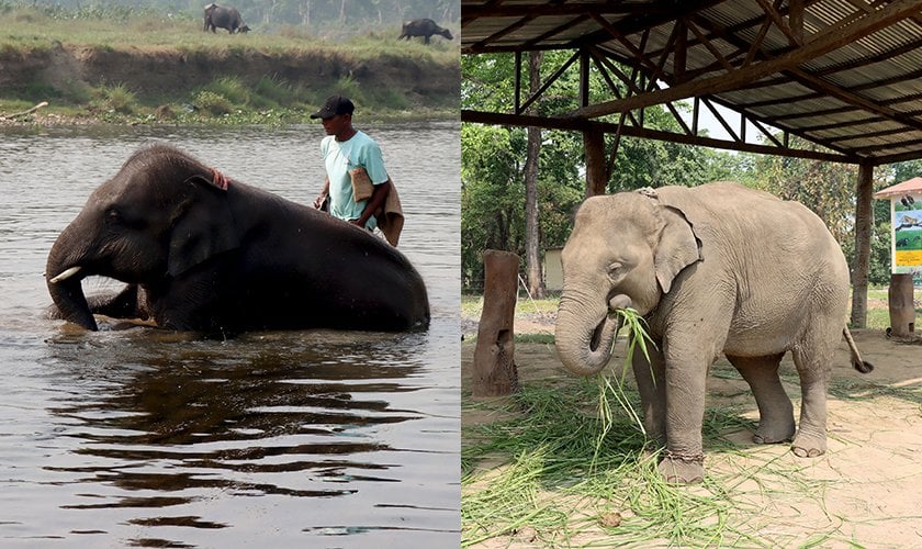 रूद्रकली र खगेन्द्रप्रसाद जान पाएनन् कतार