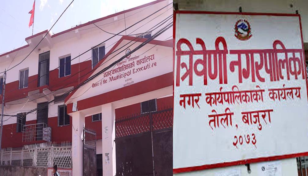 कक्षा ८ को परीक्षाफलः बडिमालिकामा २२ र त्रिवेणीमा ५९ प्रतिशत विद्यार्थी उत्तीर्ण