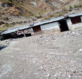 बाजुरामा असिनापानीले हिउँदे बालीमा क्षति