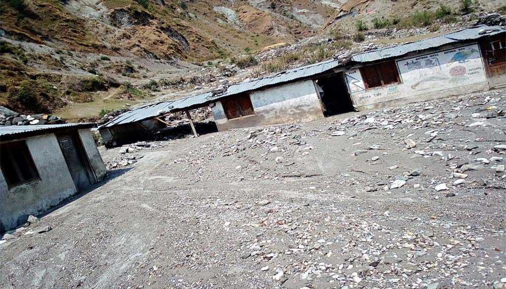 बाजुरामा असिनापानीले हिउँदे बालीमा क्षति