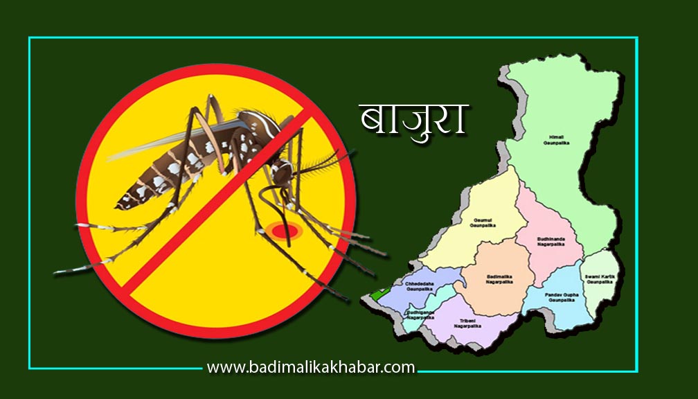 पहाडमा फैलियाे डेङ्गी, बाजुरामा १८ जना  सङ्क्रमित
