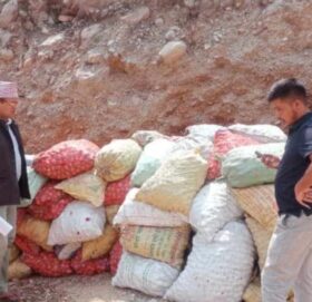 बाजुराका कृषकले उत्पादन गरेकाे प्याज  सुर्खेत र नेपालगन्ज बजारमा