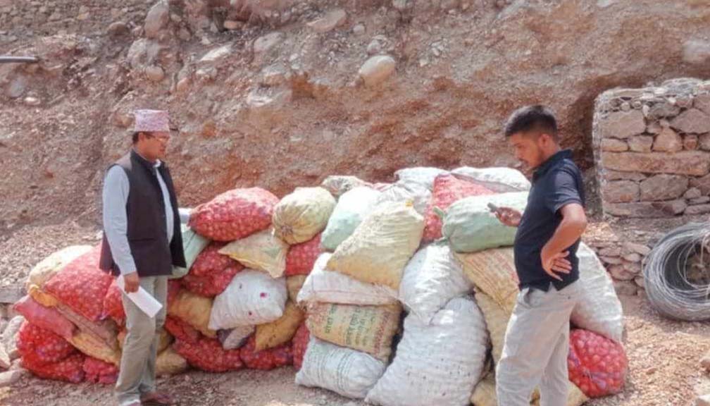 बाजुराका कृषकले उत्पादन गरेकाे प्याज  सुर्खेत र नेपालगन्ज बजारमा