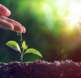 आज विश्व वातावरण दिवस मनाइँदै