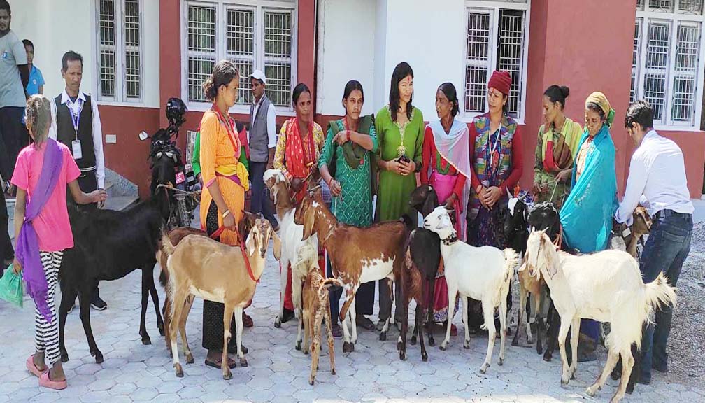 बुढीगंगा नगरपालिकाद्धारा हिंसा पिडित महिलाहरुलाई बाख्रा बितरण