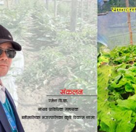 १६ लाख ऋण लाग्दा काठ्माण्डौ गएका लाल बहादुर ऐडीकाे कथा