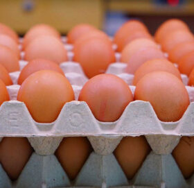 टिकटक भिडियोका लागि छोरीको निधारमा अण्डा फुटाउने आमामाथि मुद्दा