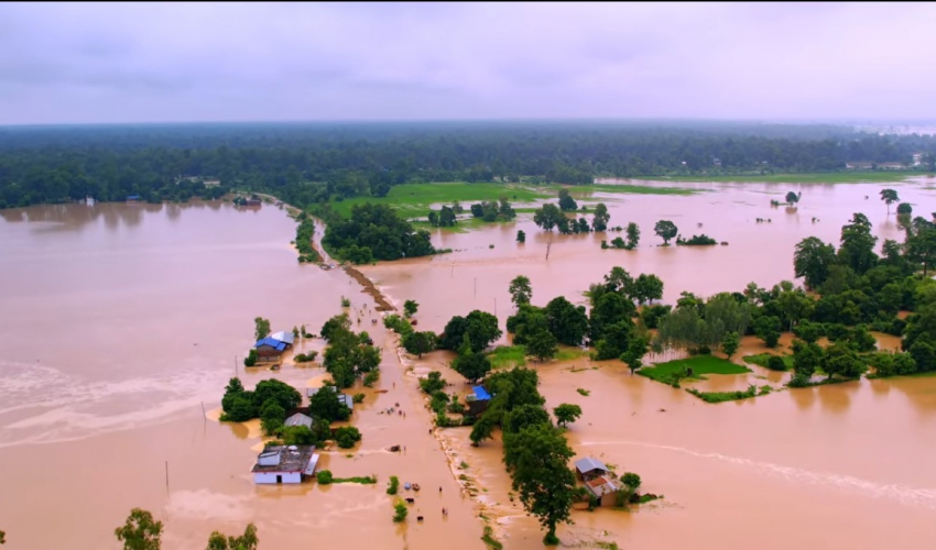 अविरल वर्षाले कैलालीमा ५ सय बढी घर डुवानमा