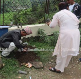 सामुदायिक बन दिवसको अवसरमा बाजुरामा बृक्षारोपण