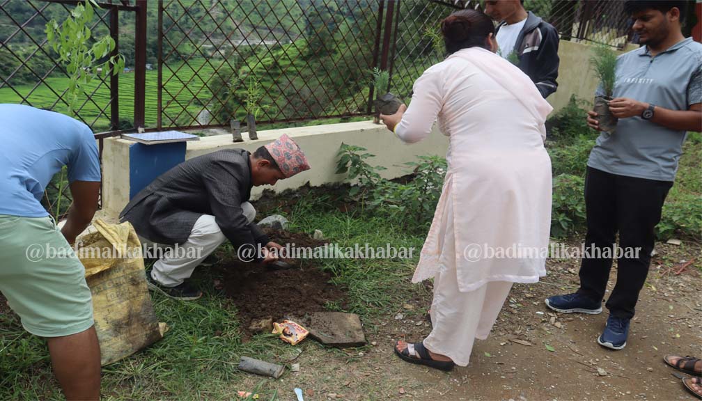 सामुदायिक बन दिवसको अवसरमा बाजुरामा बृक्षारोपण