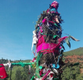 सुदूरपश्चिममा आज ओल्के पर्व मनाइदै