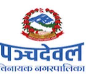 लिजामा पन्चदेवल बिनायक टप २ मा पर्न सफल