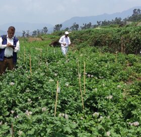 बाजुराका १२ हजार बढी कृषकलाई करिब ५ करोड अनुदान