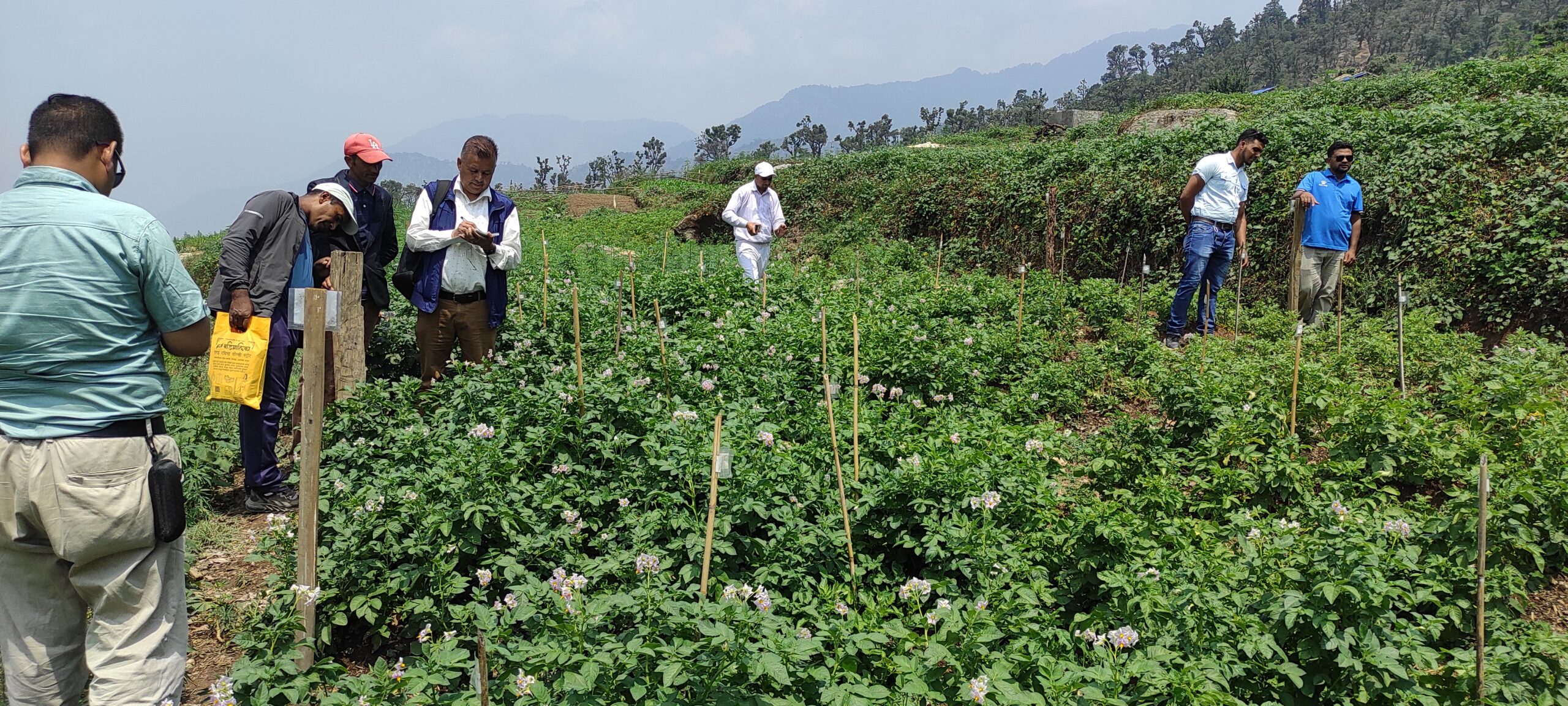 बाजुराका १२ हजार बढी कृषकलाई करिब ५ करोड अनुदान