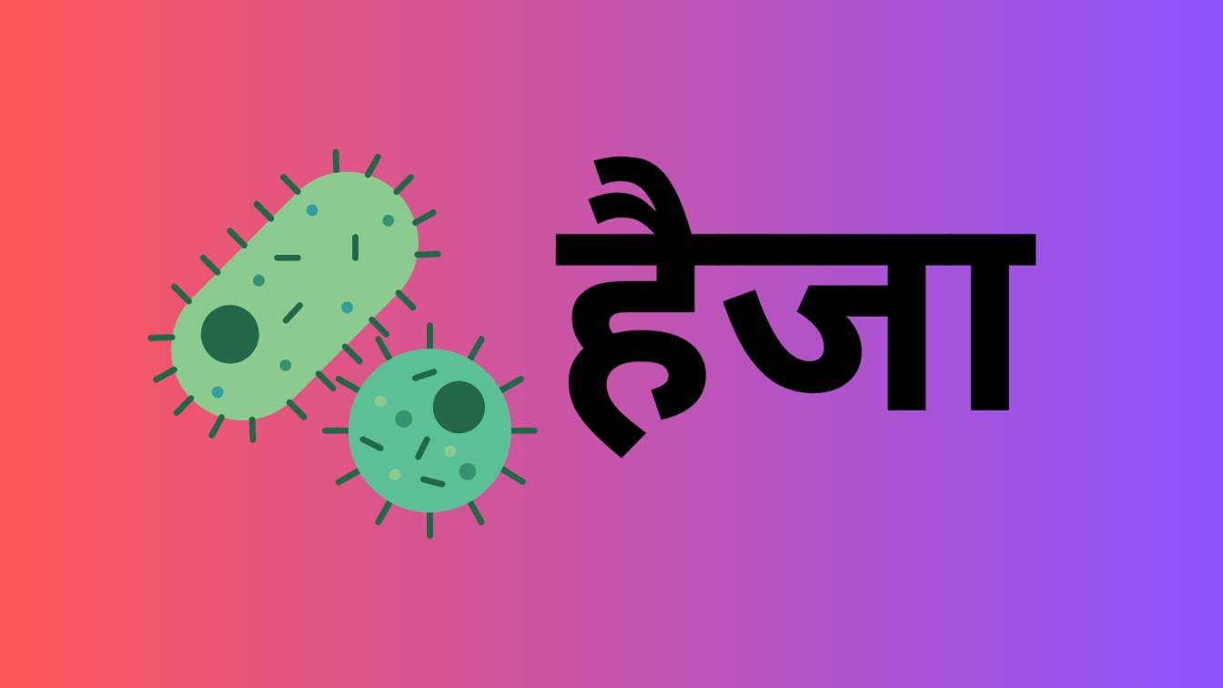 पछिल्लो एक महिनामा २० जनामा हैजा, प्रकोप फैलिन सक्ने विज्ञको चेतावनी