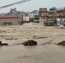 बाढीपहिरो अपडेट : अहिलेसम्म २३९ जनाको मृत्यु, १८ बेपत्ता