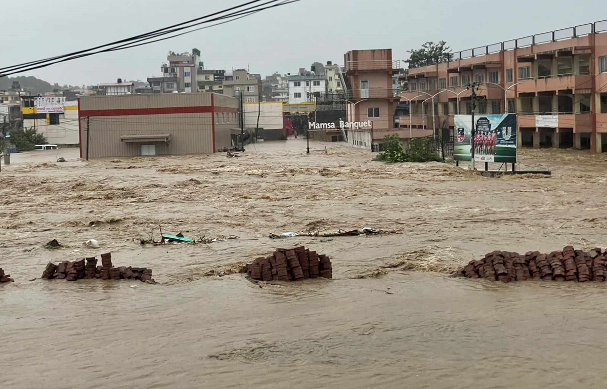 बाढीपहिरो अपडेट : अहिलेसम्म २३९ जनाको मृत्यु, १८ बेपत्ता