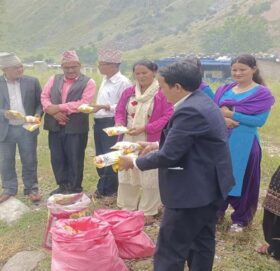 हिमाली गाउँपालिकाद्धारा बजार अनुगमन