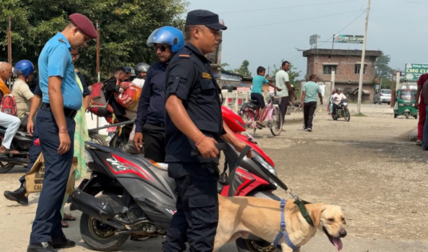 गौरीफन्टा र गड्डाचौकी सीमा नाकामा घर फर्कनेको घुँइचो, कुकुरबाट चेकजाँच
