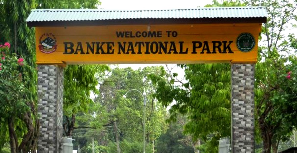 बाँके राष्ट्रिय निकुञ्जमा सूचना केन्द्र स्थापना गरिँदै