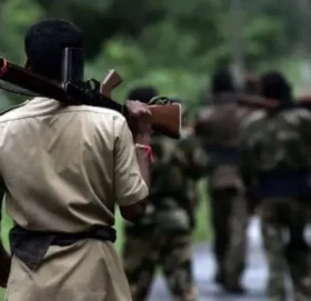 छत्तीसगढमा प्रहरीसँगको भीडन्तमा ३२ माओवादी मारिए